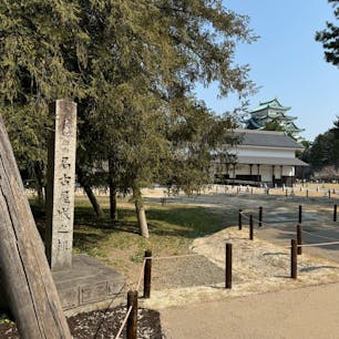 名古屋城
金のシャチホコで有名な名古屋城ですが、耐震性の低下のため2018年より天守へは入れなくなっています。そのかわり2018年に再建された御殿が当時の内装を再現しています。
名古屋城は1609年より徳川家康により築城が開始されました。大坂城の豊臣家に対する包囲網を固める目的がありました。その後御殿も完成しましたが、太平洋戦争の空襲により天守を始め多くの建造物が消失しました。
現在の天守は戦後再建されたものです。