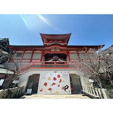 門戸厄神 東光寺です

綺麗なお寺さんですよ。
龍の絵がすごく綺麗です🐉