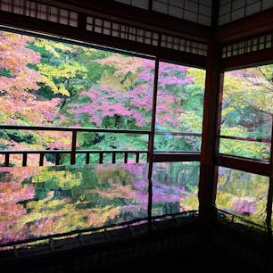 京都　瑠璃光院🍁
念願の秋の京都&瑠璃光院。
拝観料お高めですが、一度は行ってみたかったので満足！
机？に映る紅葉目当てに外国人含めたくさんの人で賑わっていました。
秋季特別拝観は予約制なので注意です⚠️