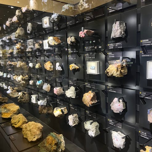 国立科学博物館