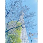 東京はあったかくてお散歩日和🚶
