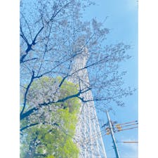 東京はあったかくてお散歩日和🚶