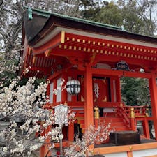 北野天満宮

行きたかった京都の北野天満宮
に梅苑を見に行きました
いろんな社があり梅とコラボ楽しめます
2025.3.8