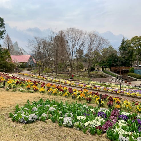 大阪府立花の文化園
