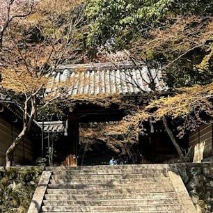 法輪寺(十三参り)
嵐山の法輪寺

十三才の子が法輪寺で知恵を授り、渡月橋を渡り途中で振り返ると、知恵が法輪寺に戻ると言われて来ますが、これは偽りです。本当は法輪寺の石橋です。

#サント船長の写真
