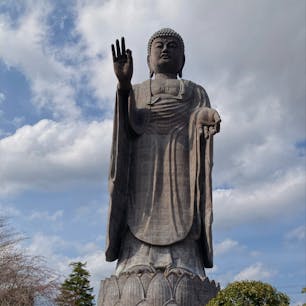 牛久大仏に行ってきました
ソメイヨシノと芝桜がとても綺麗でした
大仏とのコラボもとても綺麗