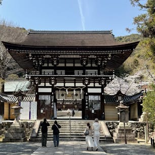 松尾大社(京都)

大宝元年(701)、秦氏が創建したと伝える古社。酒の神として信仰を集めていて、境内には全国の酒造元から奉納された、こもかぶりの酒樽が並ぶ。祭神は大山昨神[おおやまぐいのかみ]で、社務所裏の神泉「亀の井」の水を仕込み水に加えるとお酒が腐らないといわれる。室町前期建造で、天文11年(1542)に大改修した本殿(重要文化財)は、松尾造といわれる三間社両流造。

#サント船長の写真
