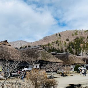 ねぎそばが有名ですが、個人的にはくるみそばがおすすめ。