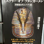 横浜のツタンカーメン展
ここは全部レプリカだけど見応えがあって最後の部屋は現地に行ったきぶんを味わえた😃