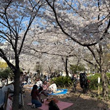 お花見🌸
広くて緑いっぱいで素敵
バラ園も見頃に行きたい！