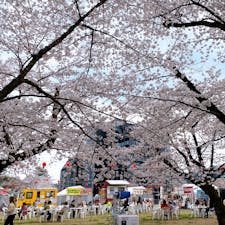 仙台の西公園でお花見🌸ただ仙台の春は寒いので、桜をちらっと眺めたあとはベローチェに移動してコーヒーゼリーを食べました。