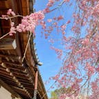 京都　将軍塚青龍殿

運動会ができる？
広い舞台があった