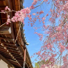 京都　将軍塚青龍殿

運動会ができる？
広い舞台があった