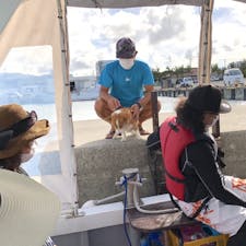 【石垣島 マリンショップtaitai】
看板犬「ニコ」と触れ合えるオリジナルツアー

シュノーケリングやファンダイビング、体験ダイビングなどいろいろなツアーをしている「taitai」は、看板犬の「ニコ」も同船します。

このニコがとっても可愛い！
休憩中の船上では、ニコと触れ合えたり、海の中で一緒に写真を撮ることもできます。
癒されます。