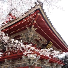 紫陽花で有名な雨引観音（雨引山楽法寺）ですが、桜の季節も素晴らしい光景が見られます。


#茨城県 #雨引山楽法寺 #雨引観音