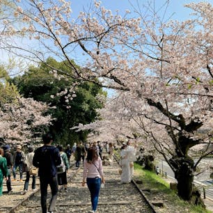 京都　
蹴上インクライン

桜を眺めながら
線路を歩く
普段はできない体験