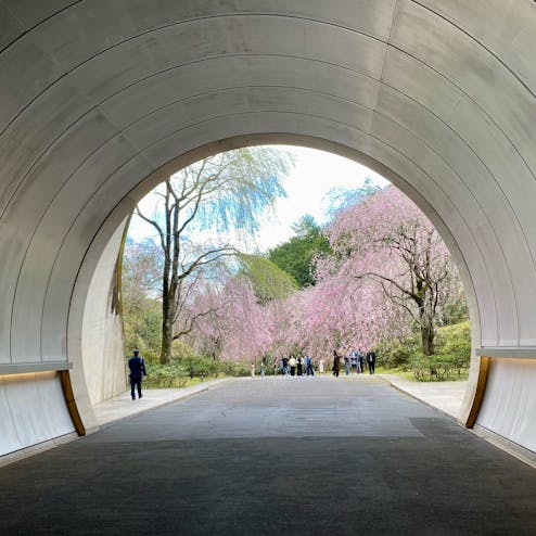 ミホ・ミュージアム