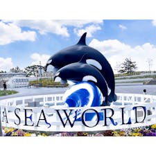 神戸須磨シーワールド🐬

西日本でシャチを見るならココ👀✨
お魚の展示は少ない印象を受けましたが、シャチのショーは圧巻❣️とっても人気のショーなので平日45分前でソコソコ良い位置を確保できました😊

前から8列目辺りまではびちょ濡れ覚悟なので濡れたくない方はレインコート持参した方がいいですね💕︎

みなさん濡れたくないようで、8列目より前は比較的直前までガラガラでした(笑)

#兵庫#神戸