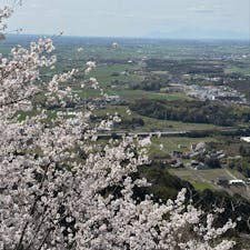 202503
佐賀　千本桜の森

高速道路からいつも、あの丸や三角はなんだろう？と思ってました
桜が綺麗と聞き行ってみました

車で山を登り、更に徒歩で登り…
なかなかきつかったです

吉野ヶ里遺跡や遠くには普賢岳が見渡せます