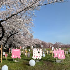 桜並木が延々と続くなかなかのスポット。
ポケモン公園もできました。