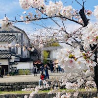 岡山
倉敷美観地区
桜見ごろの時期でした