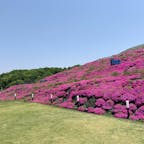 奈良県葛城市　しあわせの森公園

道の駅かつらぎに隣接する展望公園ですが、春には斜面に芝桜がたくさん咲きます。ちょうど見頃となっており、美しかったです。

長い階段を上ると展望広場があり、奈良盆地や葛城山が眺められます。階段は急で、上るのは少々しんどかったです。