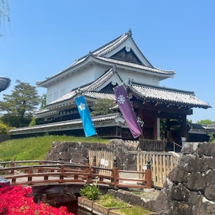勝竜寺城跡
明智光秀の娘、玉(ガラシャ)の輿入れの城、
細川忠興の正室玉

明智光秀は山崎の戦いで敗れ、勝竜寺城に逃げて深夜ココから坂本の城へ落ちる途中、小栗栖の竹薮で落ち武者狩りに遭い落命します。
#サント船長の写真#明智光秀#細川ガラシャ