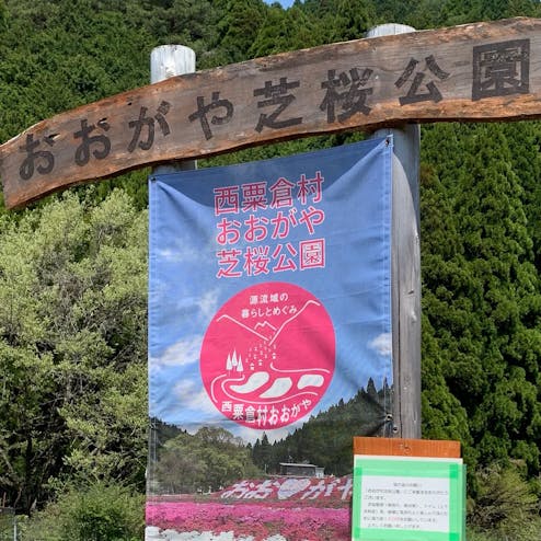 おおがや芝桜公園