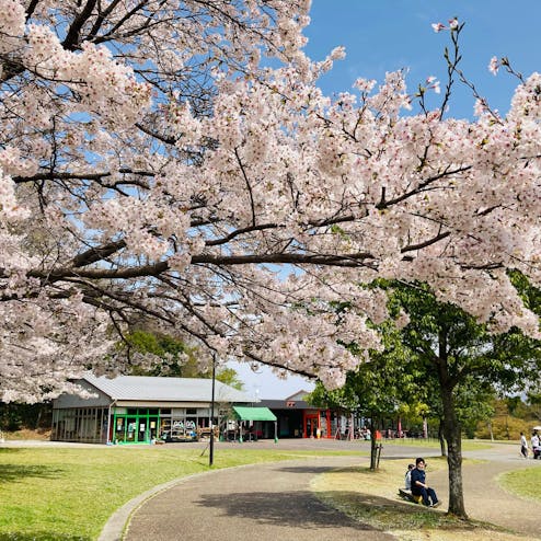 五万人の森公園