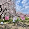 【岩手県・展勝地】

2025年4月21日

#岩手県　#北上市　#展勝地　#桜まつり