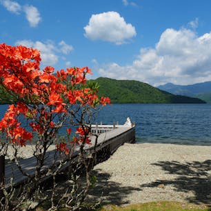 新緑が眩しいこれからの季節おすすめなのが海外大使館記念公園の散策。
写真は、昔から変わらぬ佇まいをみせるイタリア大使館別荘です。



#栃木県 #イタリア大使館別荘記念公園 #日光
