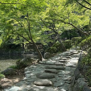 和歌山城の青紅葉🏯
