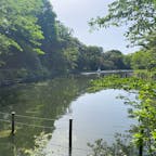 井の頭公園

東京都