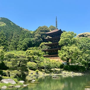 山口市
瑠璃光寺五重塔
まだ改修中ではありますが、覆われていた囲いも殆どとれ、美しい姿を現しています。