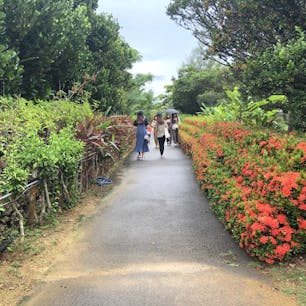 【石垣島　やいま村】
石垣島の名勝「名蔵湾」を一望する丘にあり、「名蔵アンパル」に面する【石垣やいま村】は日本最南端のテーマパーク。国の有形文化財に登録される沖縄ならではの古民家やリスザルの森、カンムリワシ保護施設、マングローブなどを間近で観察することができます。
