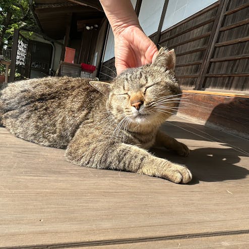 阿伏兎観音・磐台寺