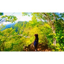 袋田の滝トンネルからもすぐにアクセスできる「袋田自然研究路」🥾

月居山へと続くハイキングコースも整備されていて、観瀑台からとはまた違った角度から楽しめる「袋田の滝」や、袋田の滝上流に位置する「生瀬の滝」、史跡や袋田温泉街を見渡せるスポットもあり、おすすめです✨

散策後には渓流散策コース沿いにある「瀧見茶屋」での休憩がおすすめ🍻

けんちんそばやうどん、軍鶏や柚子味噌だんごなど、豊かな自然を感じながらご当地グルメを味わえますよ♪