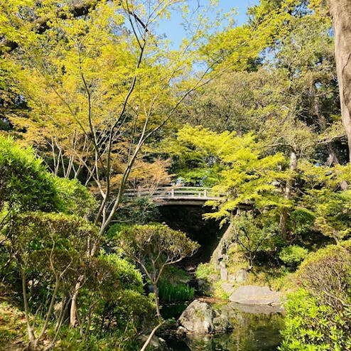 紅葉渓庭園/西之丸庭園