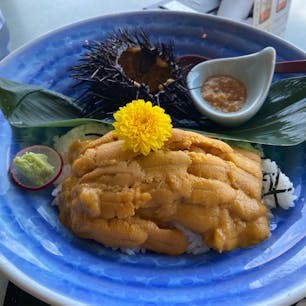 南三陸のホテル観洋内にあるレストランでウニ丼、殻付きウニ付き。剥き身のウニより殻付きのほうが鮮度が良いのか？甘くてえぐみもなく美味しかったので、ここで食べるなら殻付きウニセットがおすすめです！これで3,500円でした。ちなみに殻付きウニなしだと3,000円で食べられます。
海を眺めながら食べられるロケーションも素敵。