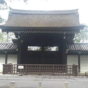 南禅寺の勅使門
此の勅使門は俺等には忘れる事が出来ない門です。それは小学生の頃、写生大会が有り、俺等は此の勅使門を描いて、銀賞🥈を貰いました、まぁ、それだけなら普通デスが、此の絵が何処の国か忘れましたが、国際コンクールに出されたと先生から聴きました。しかし此の絵は俺等の元には戻る事は有りませんでした。返して欲しかったです。
#南禅寺#勅使門#サント船長の写真