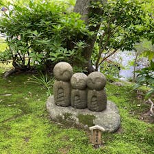 鎌倉観光。外国人と修学旅行生で大混雑しててびっくりした。
長谷寺のあじさいはまだ咲きはじめなのが残念。