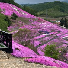 東藻琴芝桜公園