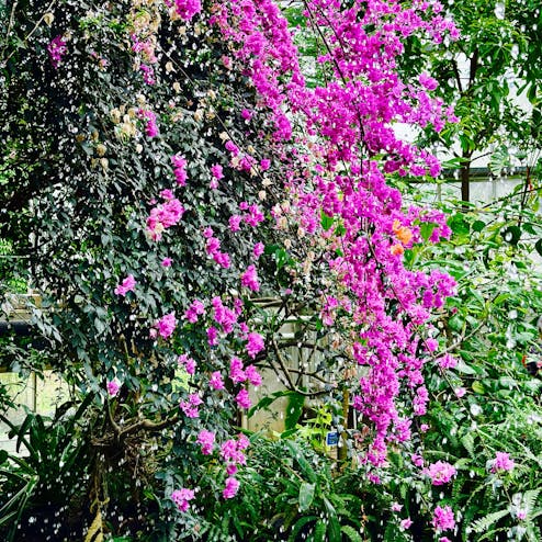 ときわミュージアム