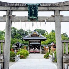 神泉苑

平安京造営の際、設けられた禁苑。天皇や公家の御遊地となり、舟遊びや遊宴などが催され、平安時代にここで行われた御霊会が後の祇園祭となる。江戸初頭、徳川氏の二条城築造にともない境内が縮小された。池中には中嶋があり、弘法大師の雨乞い伝説を伝える善女龍王社が立つ。法成就池に架かる朱塗りの法成橋は、願い事を念じながら渡ると必ず叶うという言い伝えも。王朝時代のみやびを今に伝える名苑である。

#神泉苑#サント船長の写真
