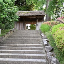 千葉・松戸にある「戸定邸」。
江戸幕府15代将軍・徳川慶喜の弟、徳川昭武の別邸で昭武の部屋や母親が住んでいた広間のほか、天気が良ければ富士山が見える庭園も見どころです。

#千葉 #松戸 #戸定邸 #徳川慶喜 #徳川昭武
