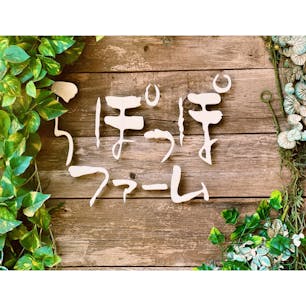 廃校を利用してつくられた、「らぽっぽ なめがたファーマーズヴィレッジ」✨（茨城）

キャンプや収穫体験、やきいもファクトリーミュージアムなど、大人も子供も楽しめる催しが目白押し❣️

さつまいもグルメはもちろんのこと、新鮮な野菜やフルーツ、季節限定のスイーツなどもあるので、ぜひ訪れてみて下さいね🤗