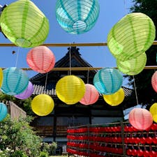 奈良県橿原市　おふさ観音

高野山真言宗　別格本山のお寺です。境内でバラや季節の花が楽しめ、行事も多いです。

提灯まつりが行われていて、たくさんの鮮やかな提灯が見られました。6月23日まで開催され、その後は風鈴まつりもあります。アジサイも咲き始め、境内は華やかな雰囲気でした。
