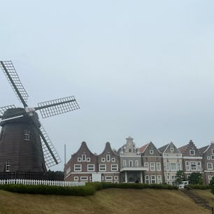 【風車の見える丘】　大岡市民活動センター
in埼玉県東松山市

オランダの風車が東松山に！！
ギリギリでゴデチアの花を見ることが出来ました🌹✨
咲き終わりらしく花摘みもできました✨
蕾が沢山ついているのできれいに切って花瓶に入れておくとちゃんと綺麗に咲くそう✨
楽しみ！！

2025.6.8🌹