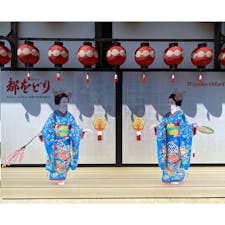 平日だったこともあってか観客の大半が外国人だった都をどり。舞妓さん、芸妓さんが一斉に踊るさまは大変華やかでした。