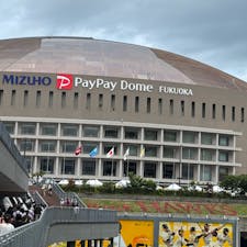 202505
福岡　みずほペイペイドーム

ピンクフルデー
JALスカイビューシートでビュッフェを食べながらの野球観戦

久しぶりに来ましたPayPayドーム
この日は勝利したので花火もドーム内で上がりました